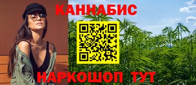 мдпв Камышлов