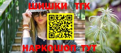 мдпв Камышлов