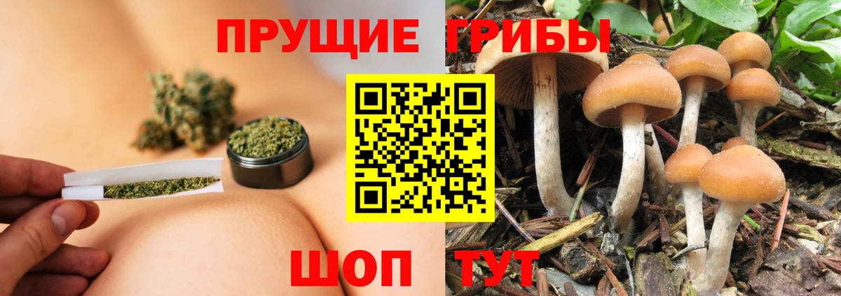 Кумертау  Псилоцибиновые грибы Magic Shrooms  Вход с VPN  Галлюциногенные грибы Magic Shrooms 